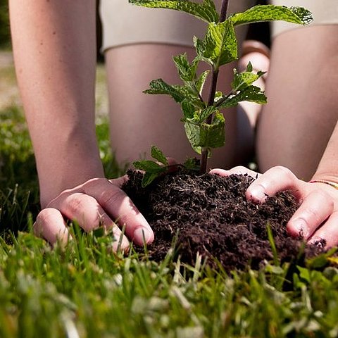 Freiwilliges Ökologisches Jahr Baden Württemberg Freiwilliges Ökologisches Jahr FÖJ in Wuerttemberg Website Hintergrundbild